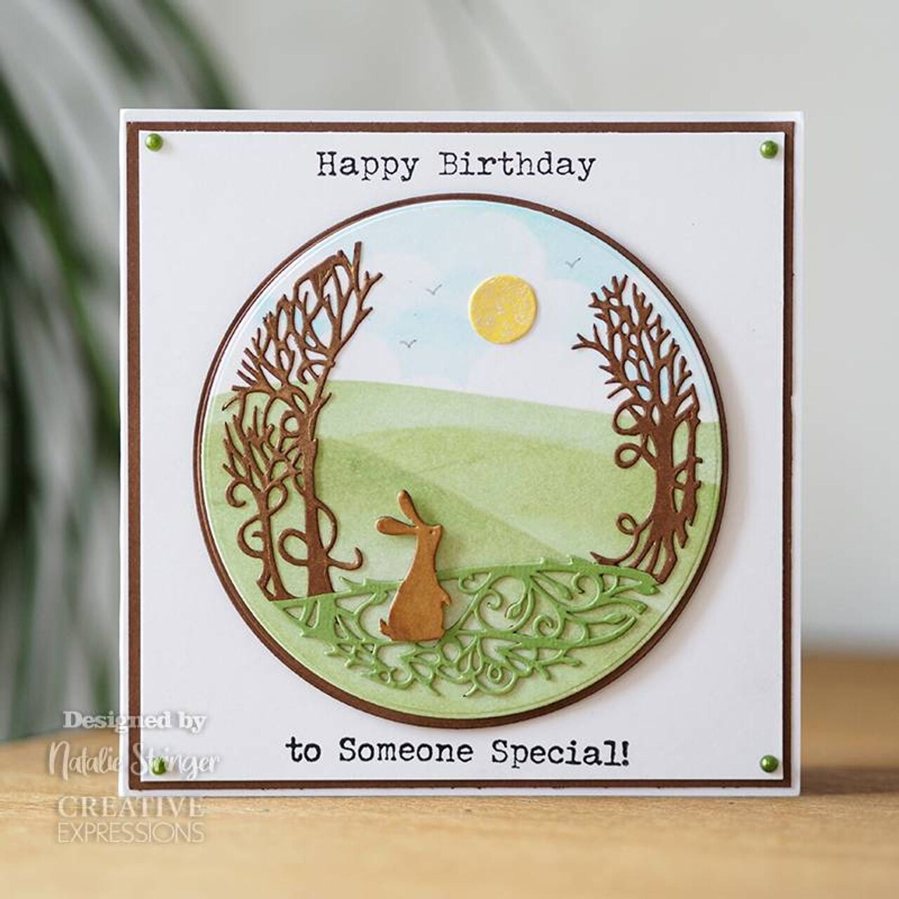 Creative Expressions Paper Panda Shooting Star Craft Die